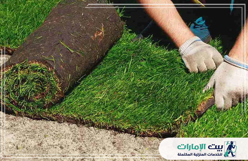 تركيب العشب الصناعي في ام القيوين