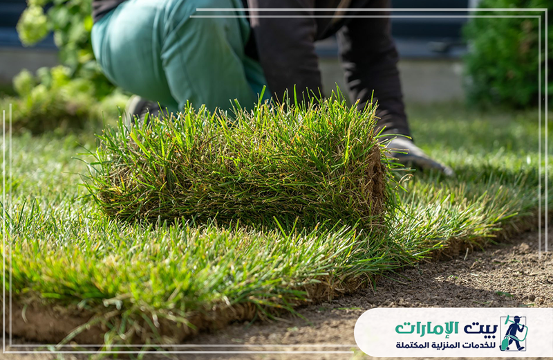 أرخص تركيب عشب صناعي في ام القيوين