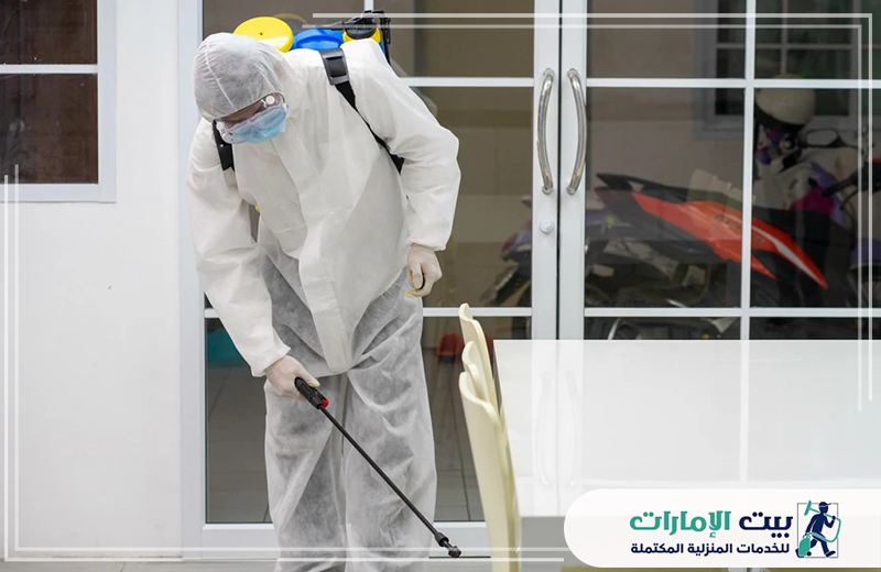 مكافحة النمل في ابوظبي مكافحة النمل في ابوظبي