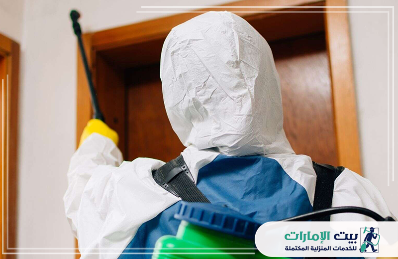 شركة مكافحة حشرات في ابوظبي
