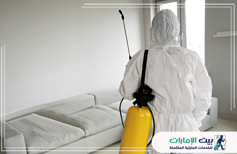 مكافحة القوارض في ابوظبي مكافحة القوارض في ابوظبي