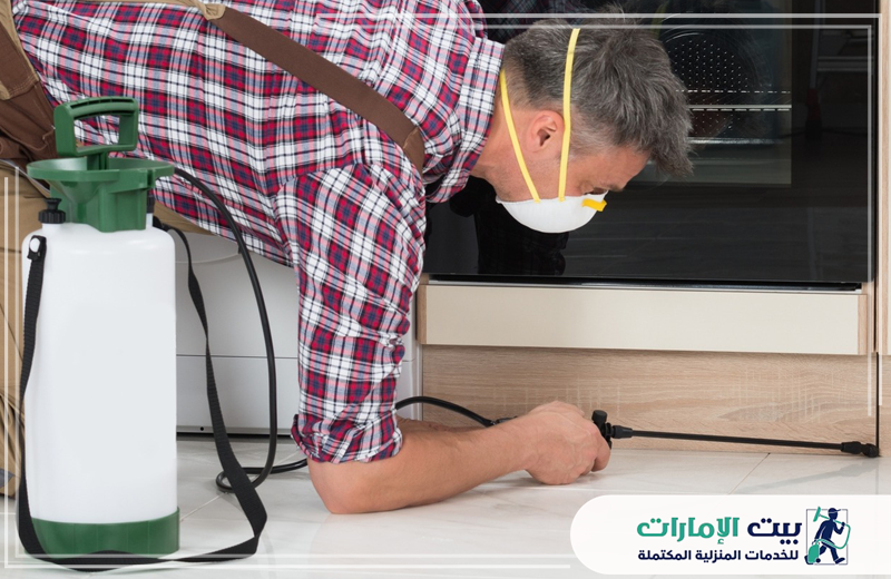 مكافحة بق الفراش في ابوظبي مكافحة بق الفراش في ابوظبي