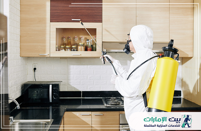 افضل شركة مكافحة حشرات في ابوظبي افضل شركة مكافحة حشرات في ابوظبي