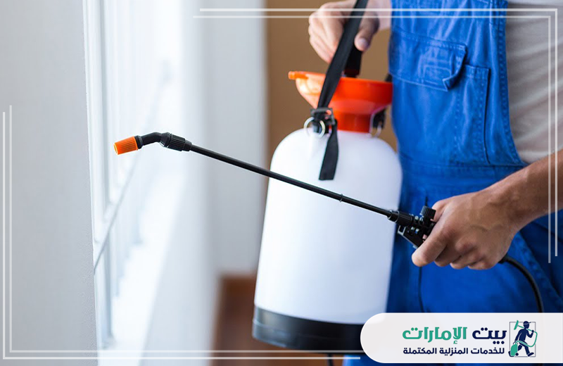 مكافحة الوزغ في ام القيوين 0509783583 بيت الإمارات مكافحة الوزغ في ام القيوين