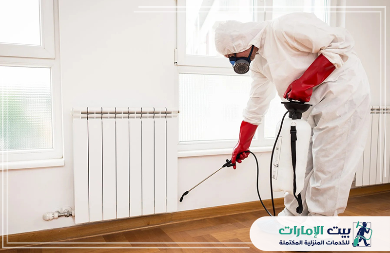 مكافحة الوزغ في ام القيوين مكافحة الوزغ في ام القيوين