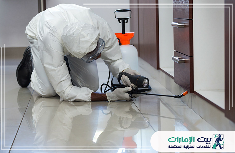 طرد الفئران من المنزل بام القيوين 0509783583 بيت الإمارات طرد الفئران من المنزل بام القيوين