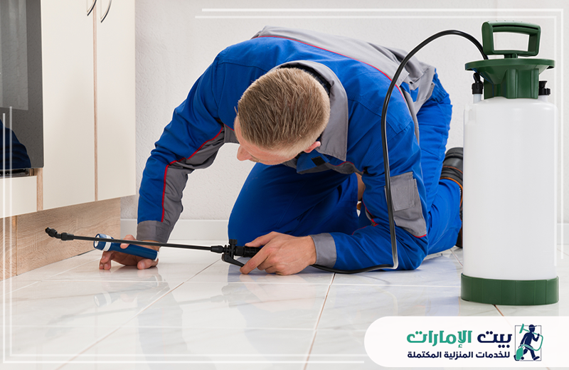 شركة مكافحة حشرات في أم القيوين