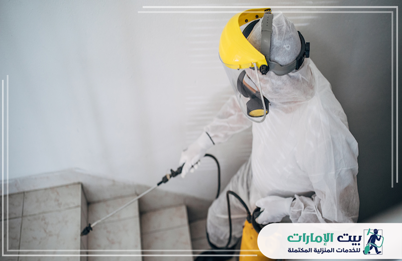 شركة رش حشرات العين