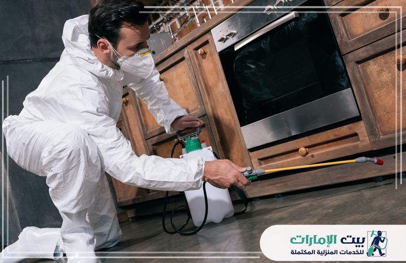 افضل شركة رش حشرات العين