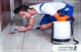 شركة مكافحة حشرات في الفجيرة