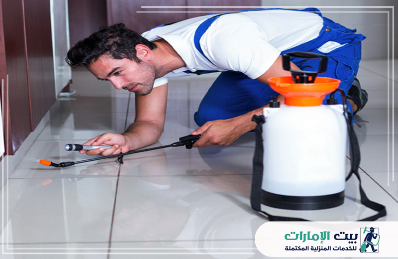 شركة مكافحة حشرات في الفجيرة