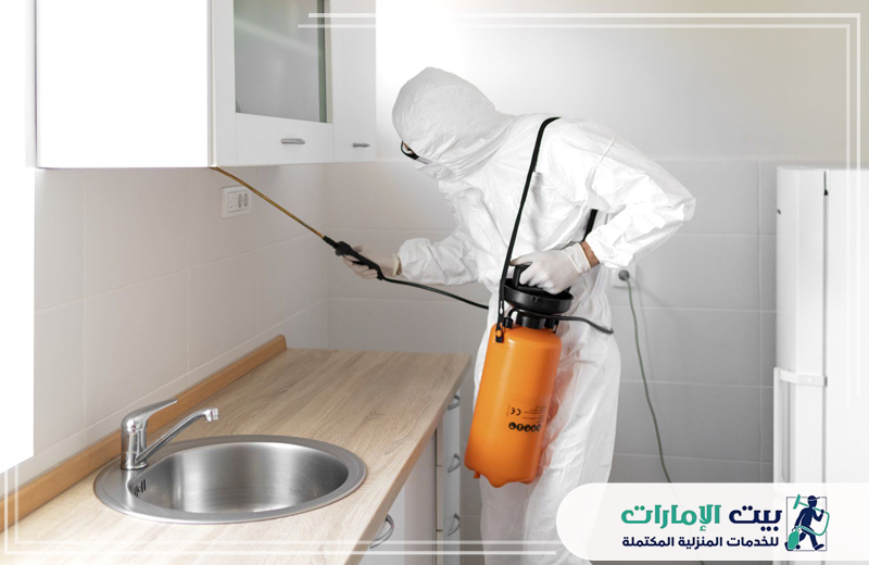 مكافحة النمل الأبيض بالفجيرة
