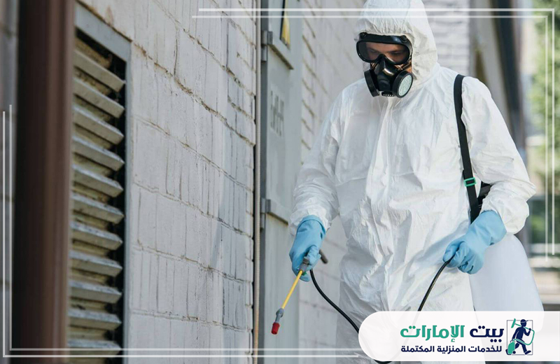 ارخص شركة مكافحة حشرات في الفجيرة