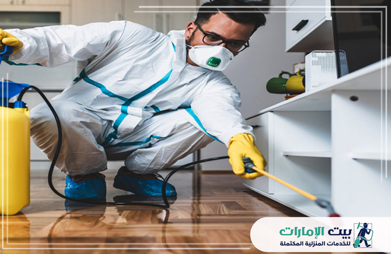 افضل شركة مكافحة حشرات في الفجيرة