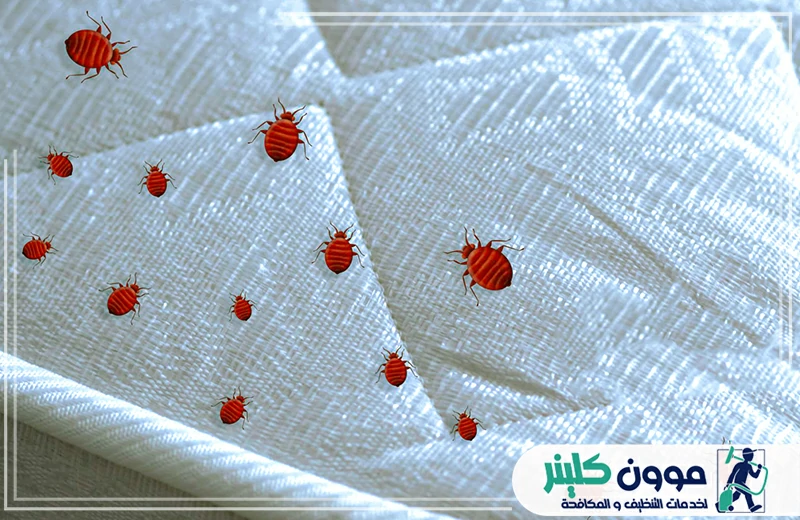 شركة مكافحة البق في الفجيرة