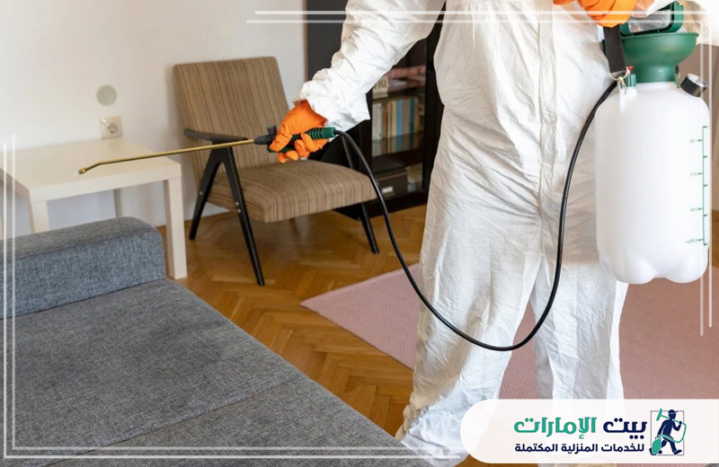 أفضل شركة مكافحة الرمة في رأس الخيمة