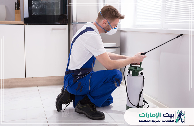افضل شركة مكافحة الرمة في الفجيرة