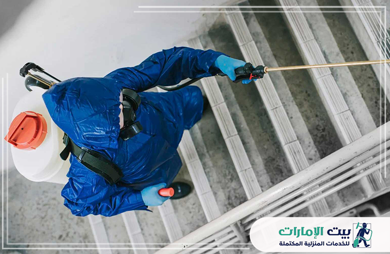 مكافحة الرمة برأس الخيمة