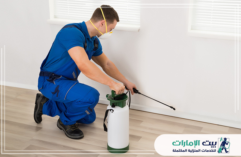 مكافحة النمل في ام القيوين 0509783583 بيت الإمارات مكافحة النمل في ام القيوين