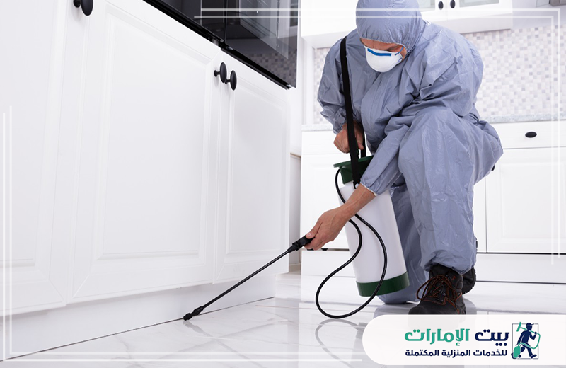 مكافحة النمل الإبيض في ام القيوين 0509783583 بيت الإمارات مكافحة النمل الإبيض في ام القيوين