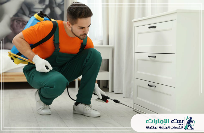 مكافحة الرمة في رأس الخيمة