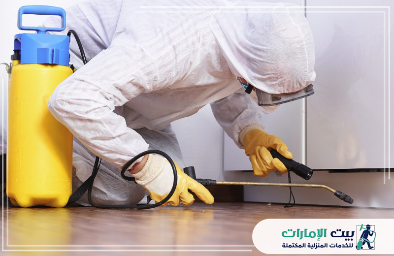 عمال مكافحة الرمة في ام القيوين عمال مكافحة الرمة في ام القيوين