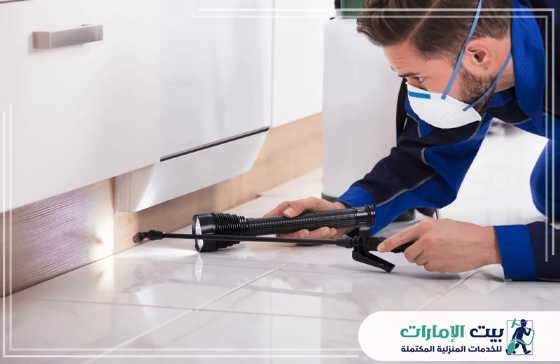 شركة مكافحة الرمة في عجمان