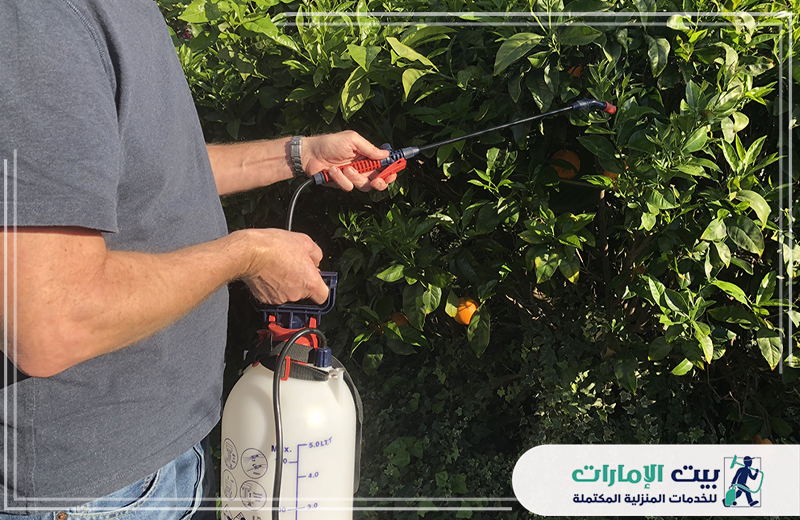 اسعار شركة رش مبيدات بعجمان
