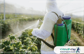 شركة رش مبيدات ابوظبي