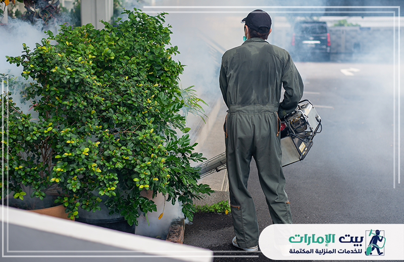 شركة رش مبيدات بعجمان