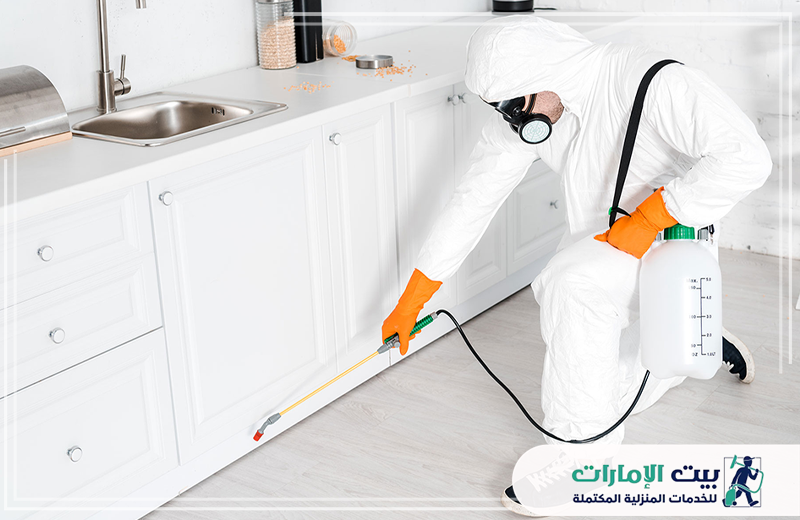أسعار شركة رش حشرات في راس الخيمة