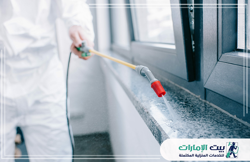 شركة حشرات في راس الخيمة