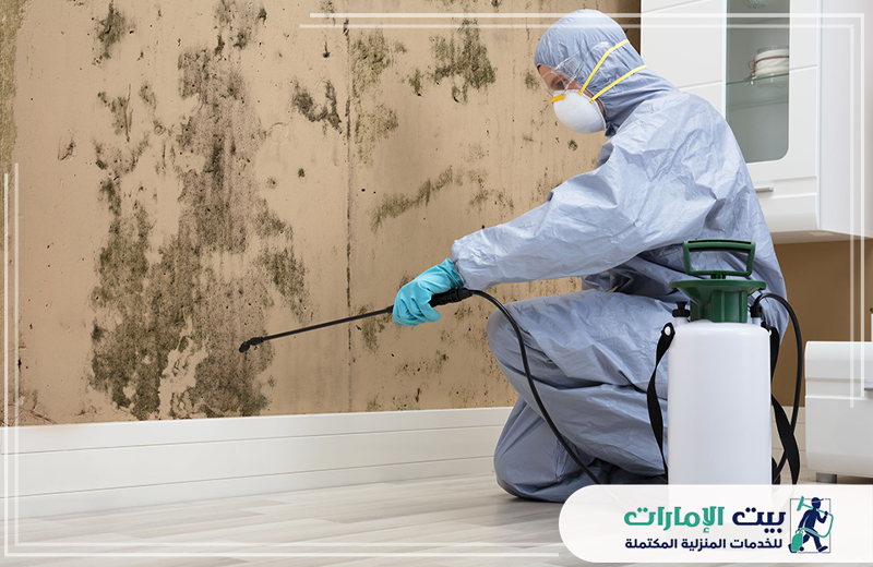 شركة رش حشرات في راس الخيمة