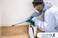 شركة مكافحة الحشرات في الامارات
