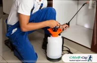 شركة مكافحة الحشرات في الامارات